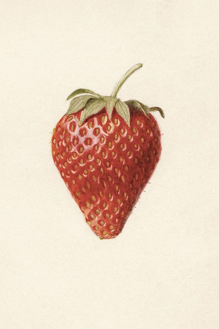 Berry Bounty: Sun-Kissed Freshness in a Box